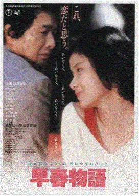 太极旗飘扬 电影海报